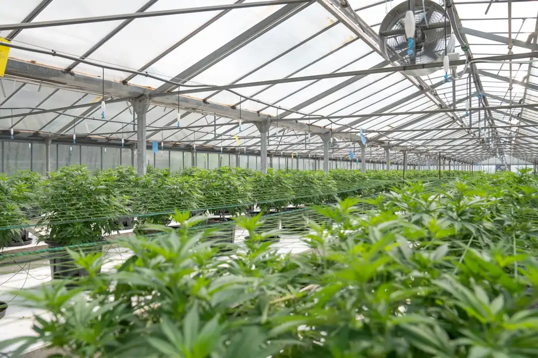 网络存储设备硬件故障排查指南及备份存储优化策略